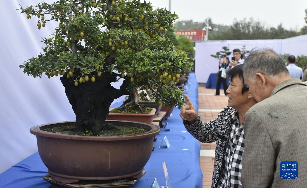 178娱乐众发
